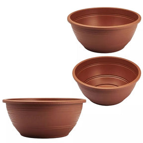 Kit com 15 Vaso Cuia para Rosa do Deserto - 6,6 Litros