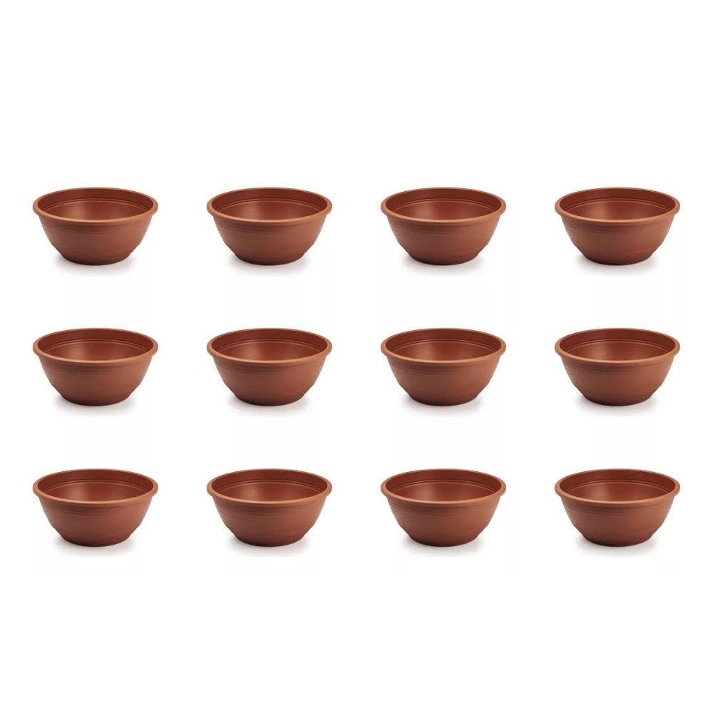 Kit com 15 Vaso Cuia para Rosa do Deserto - 6,6 Litros