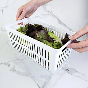 Kit de Organizadores de Geladeira com Cesto 3 Unidades 30x15x13 Linha Clear Fresh