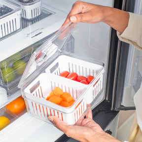 Organizador com cesto duplo 2,2L Linha Clear Fresh