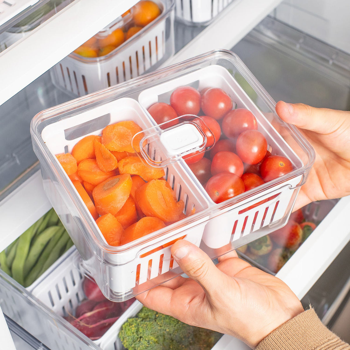 Organizador com cesto duplo 2,2L Linha Clear Fresh