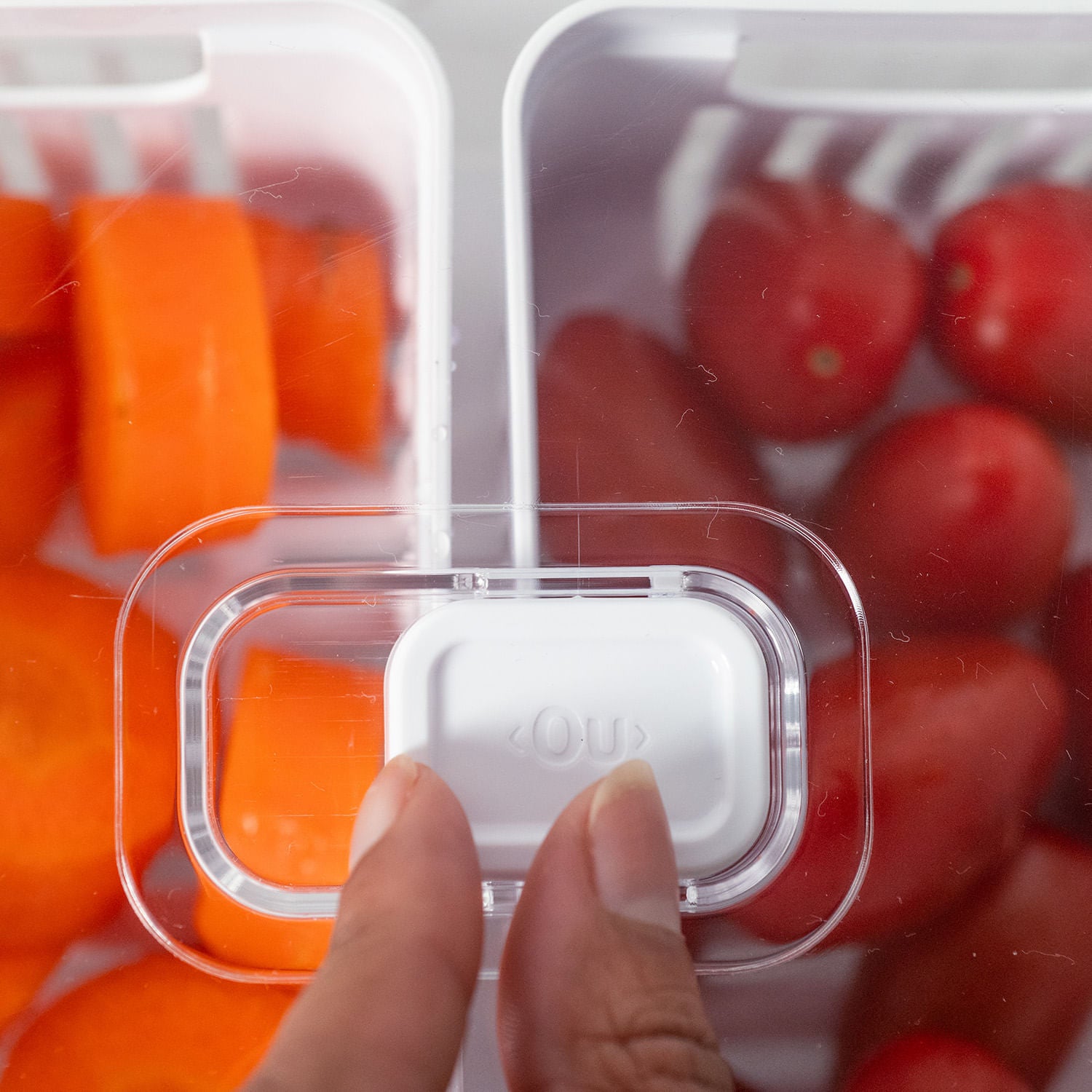 Organizador com cesto duplo 2,2L Linha Clear Fresh