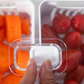 Organizador com cesto duplo 2,2L Linha Clear Fresh