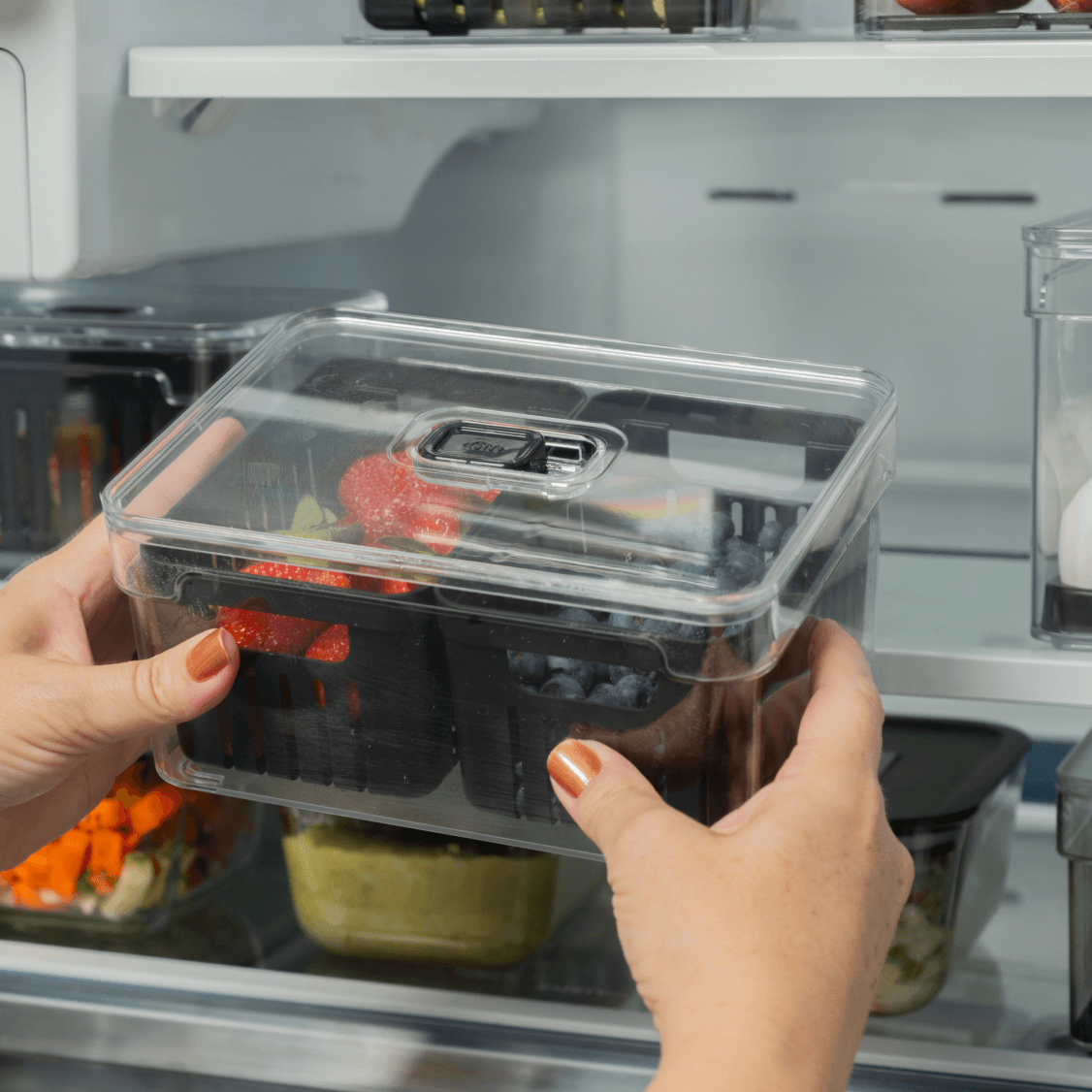 Organizador com cesto duplo 2,2L Linha Clear Fresh