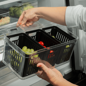 Organizador com cesto triplo 5L Linha Clear Fresh