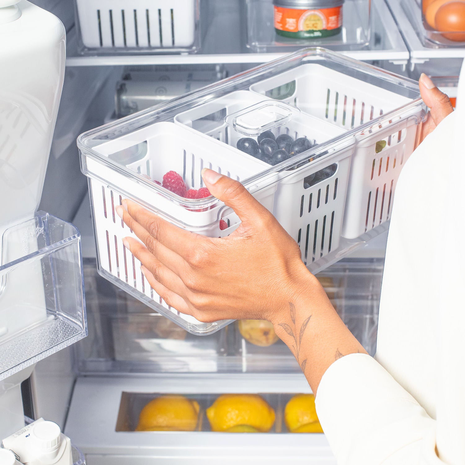 Organizador com cesto triplo 5L Linha Clear Fresh
