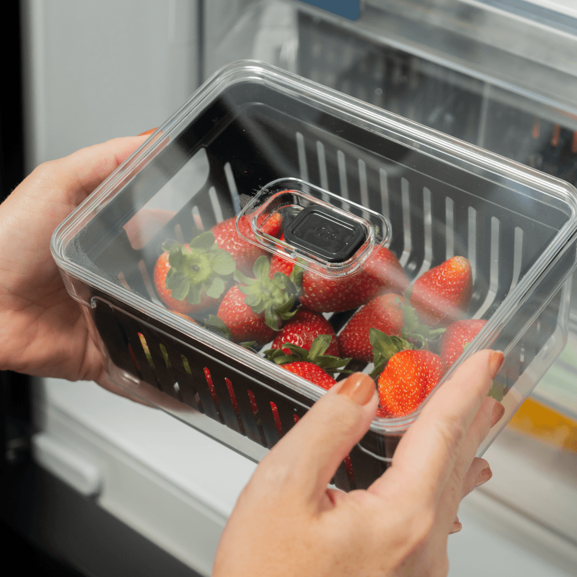 Organizador de geladeira com cesto 2,2L Linha Clear Fresh