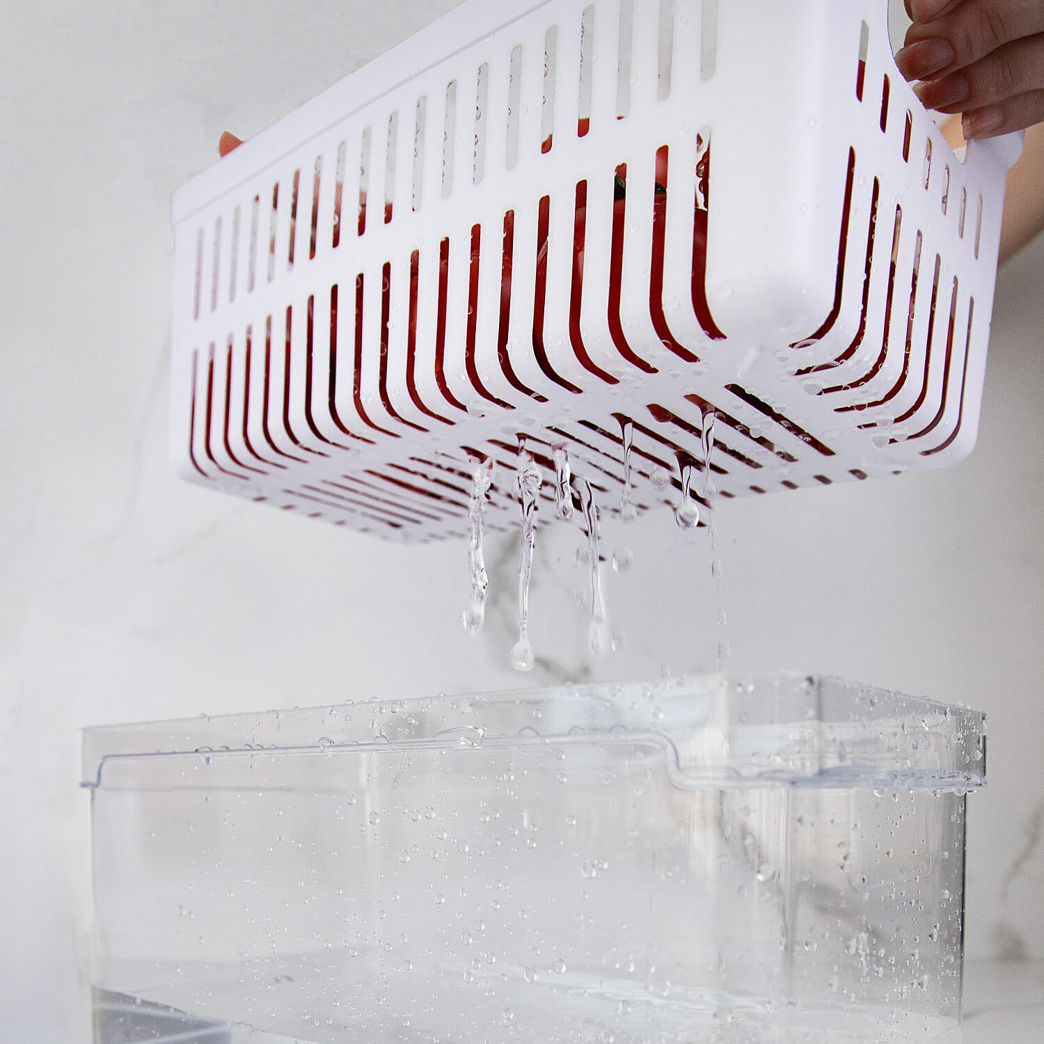 Organizador de geladeira com cesto 5L Linha Clear Fresh