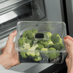 Organizador de geladeira com tampa 2,2L Linha Clear Fresh