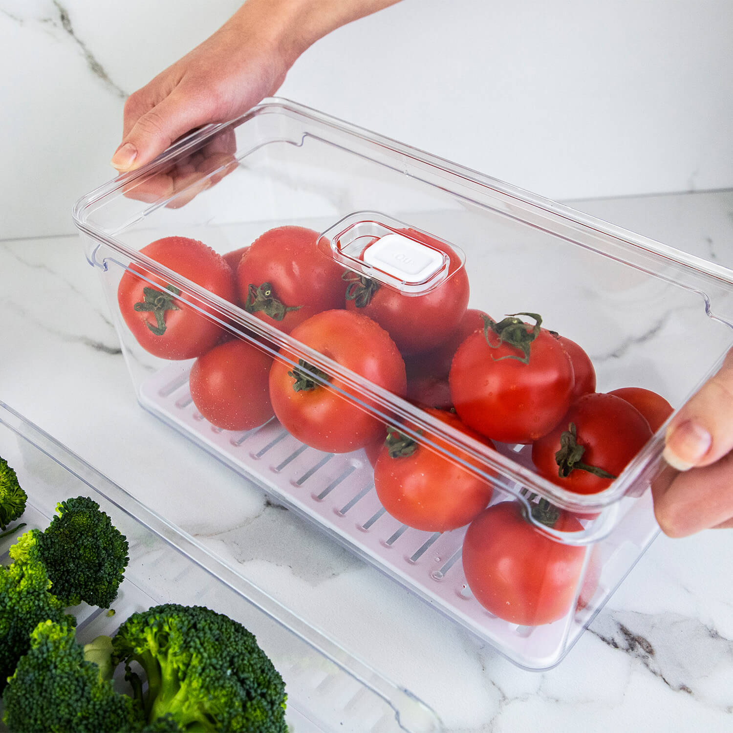 Organizador de geladeira com tampa 5L Linha Clear Fresh