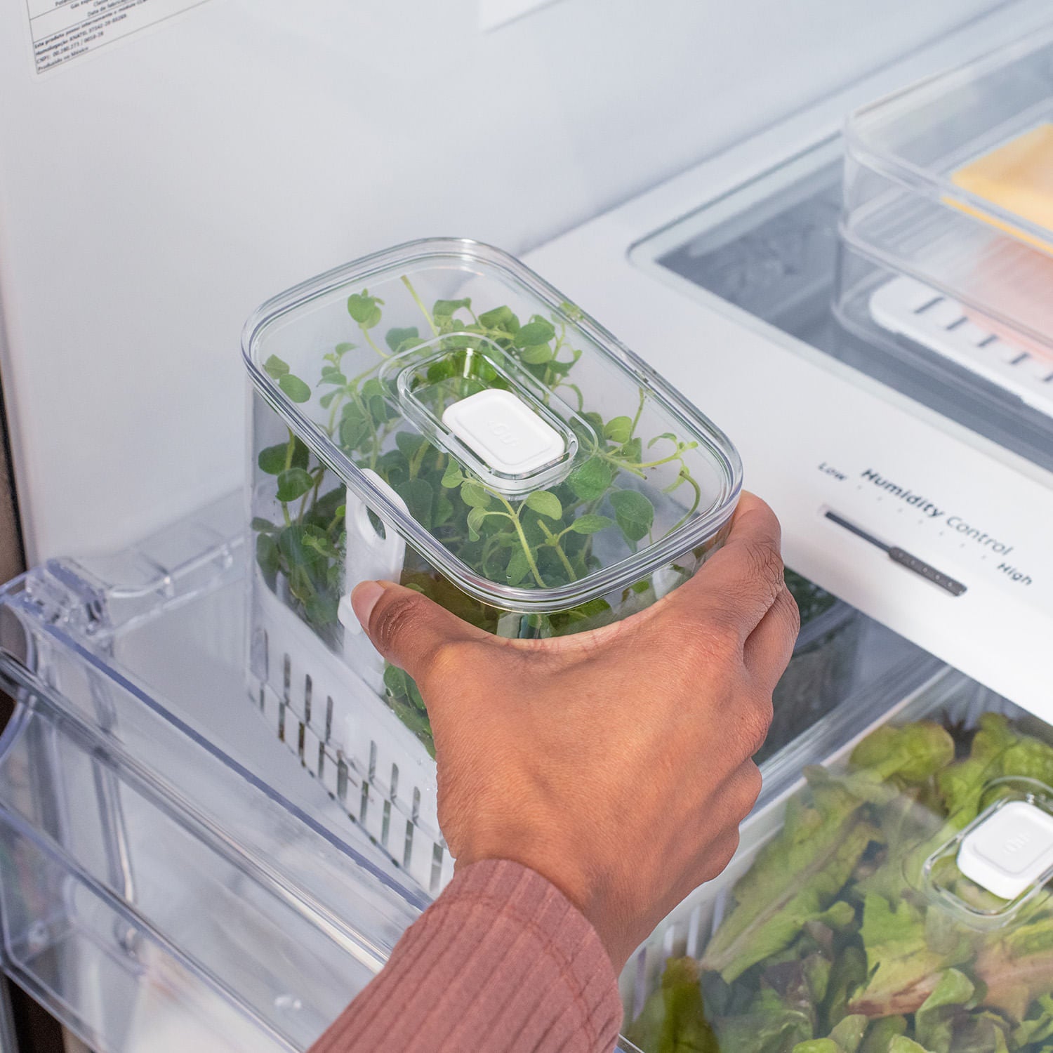Organizador de temperos 1,5L Linha Clear Fresh