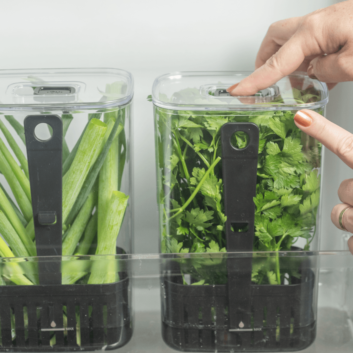 Organizador de temperos 2,3L Linha Clear Fresh