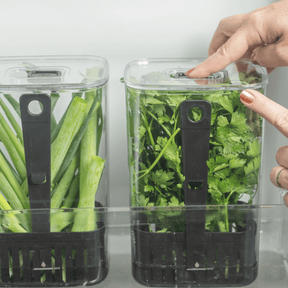 Organizador de temperos 2,3L Linha Clear Fresh