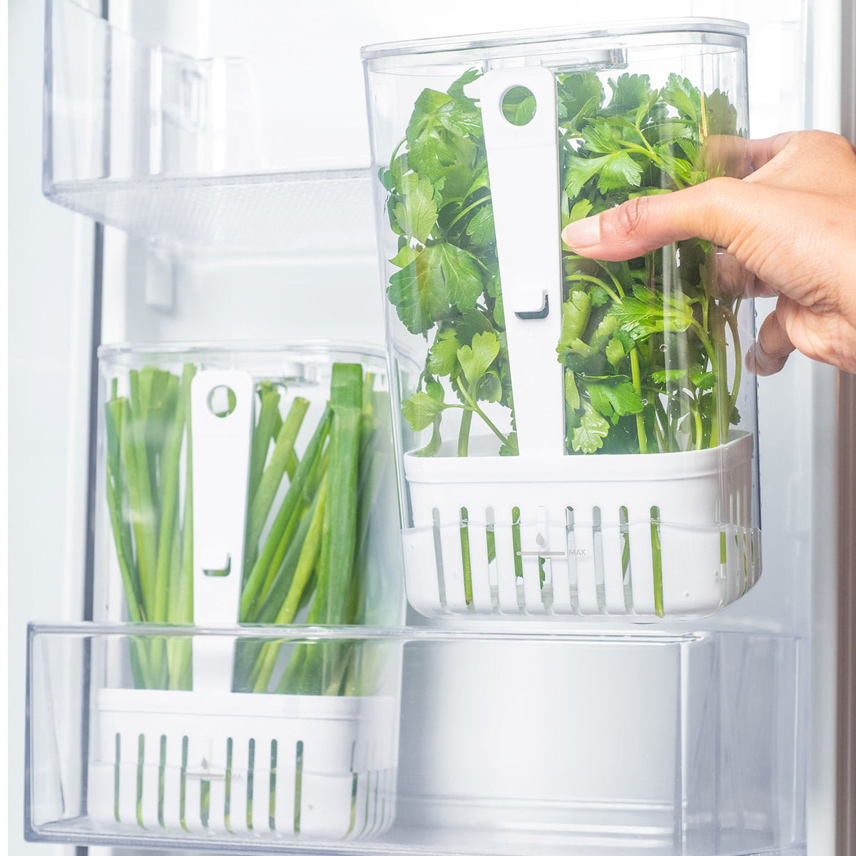 Organizador de temperos 2,3L Linha Clear Fresh