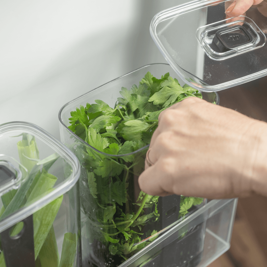 Organizador de temperos 2,3L Linha Clear Fresh