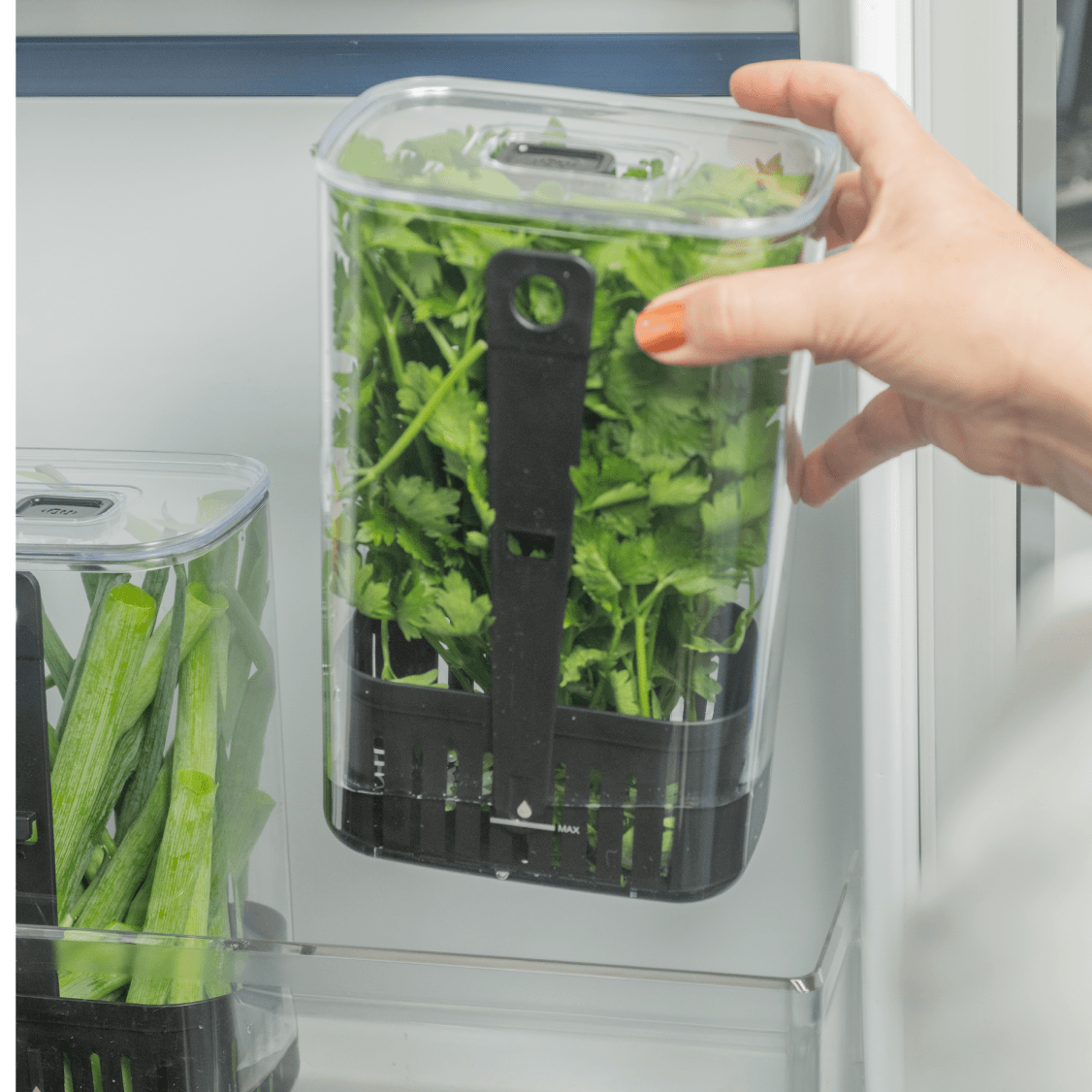 Organizador de temperos 2,3L Linha Clear Fresh