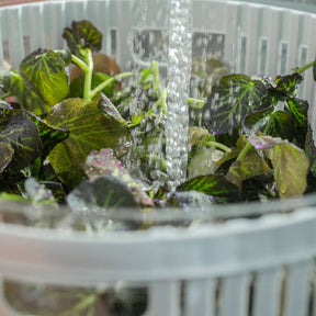 Secador de saladas 5,5L Linha Clear Fresh
