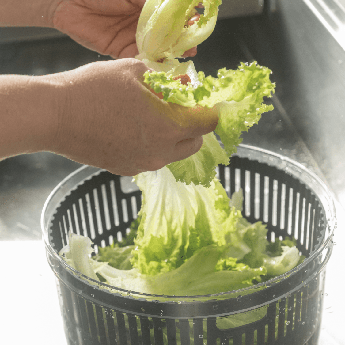 Secador de saladas 5,5L Linha Clear Fresh